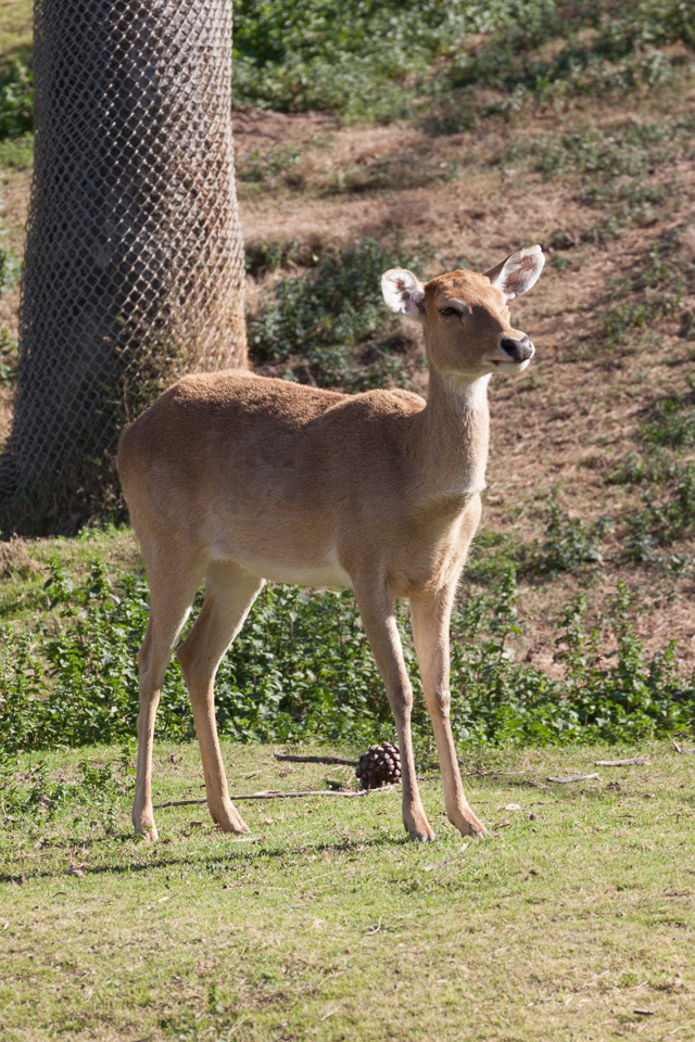 IMG_7125.jpg