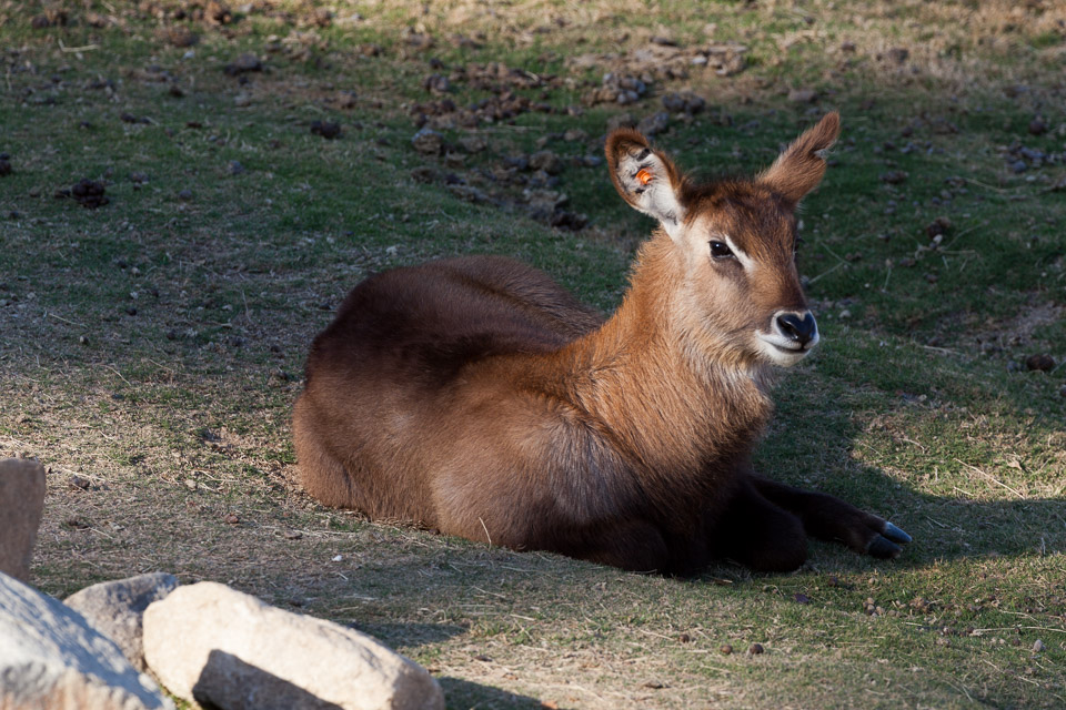 IMG_7167.jpg
