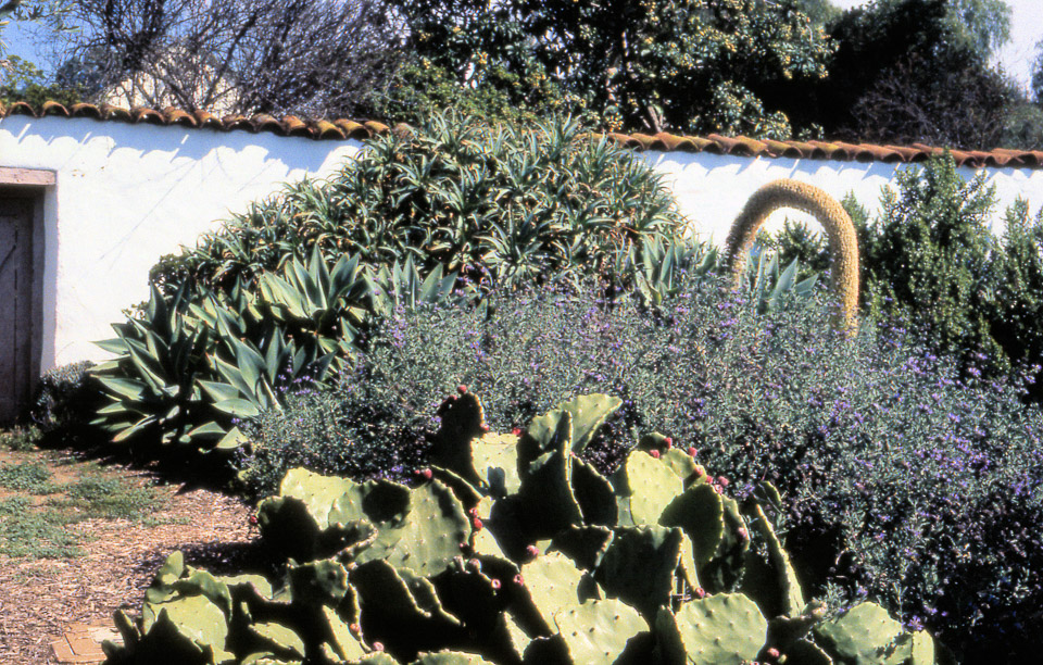 san-diego-1990-09_716581315_o.jpg