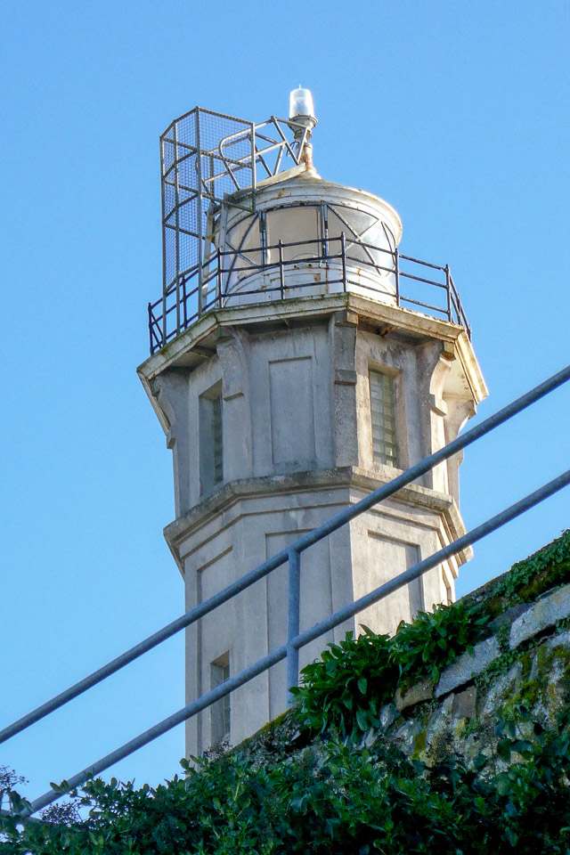 P1000201.jpg