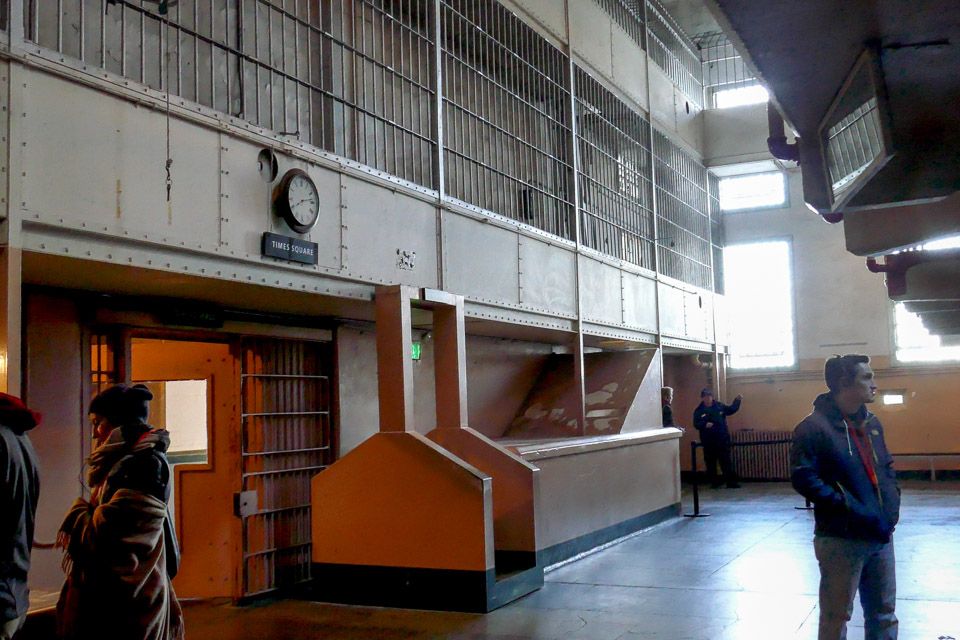 P1000205.jpg