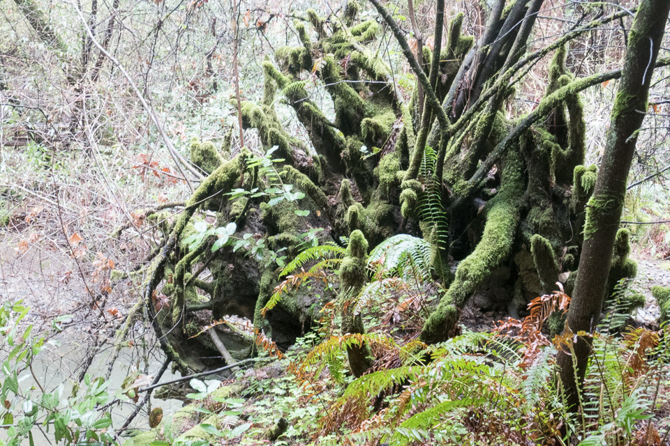 P1000244.jpg