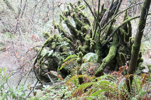 P1000244.jpg