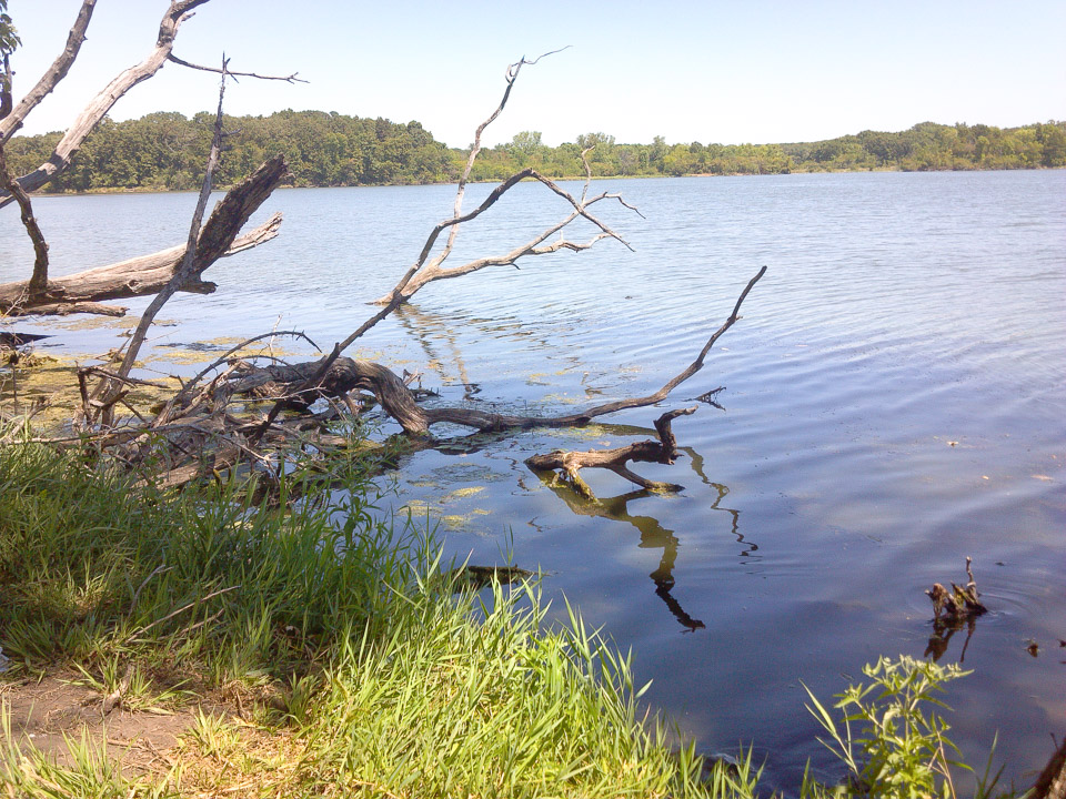 2012-08-06-12.31.47.jpg