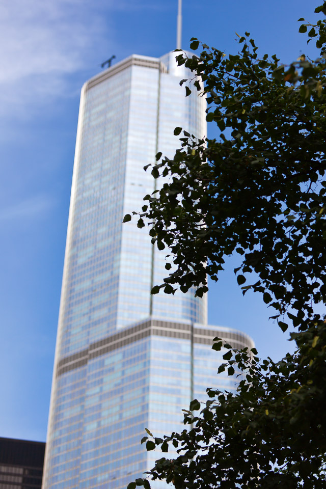 Chicago-img_2147_5050359640_o.jpg