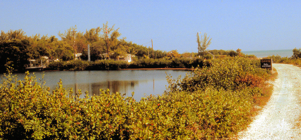 florida-keys--everglades-074_536388418_o.jpg