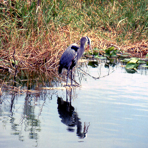 Florida Florida