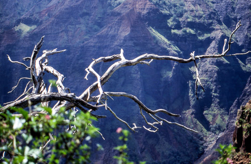 kauai-hawaii-1990-10_748440866_o.jpg