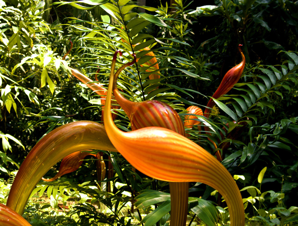missouri-botanical-garden-p8021155_3820609194_o.jpg