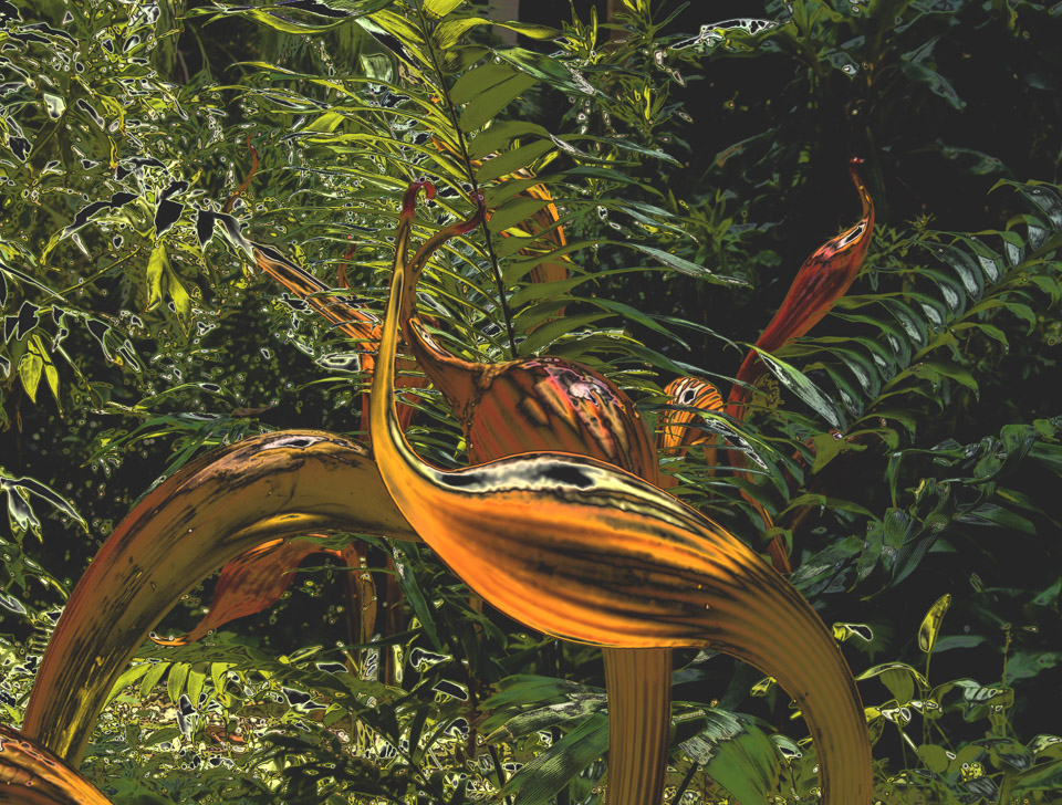 missouri-botanical-garden-p8021155chrome_3820610504_o.jpg