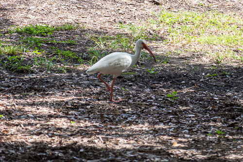 P1040176.jpg P1040176.jpg