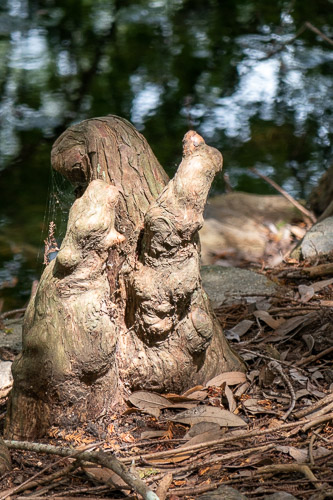 P1040177.jpg P1040177.jpg