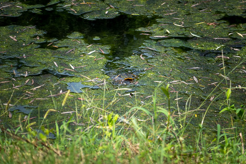 P1040178.jpg P1040178.jpg