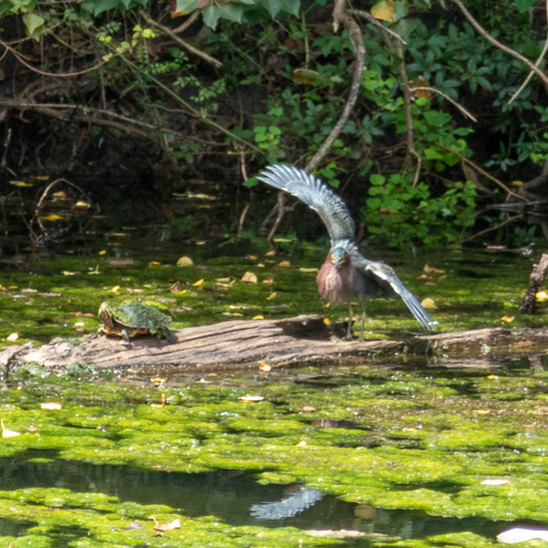 P1040179.jpg P1040179.jpg