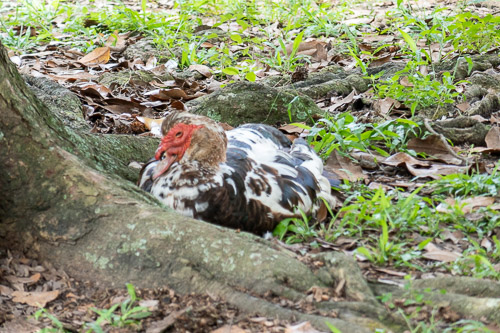 P1040180.jpg P1040180.jpg