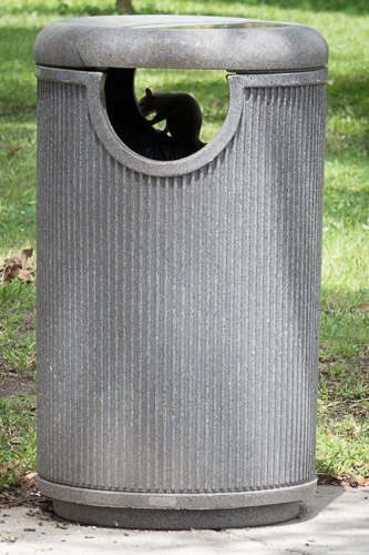 P1040181.jpg P1040181.jpg