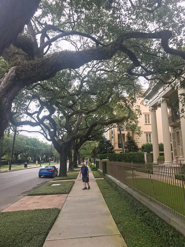 WhatsApp-Image-2019-09-03-at-02.03.52.jpg WhatsApp-Image-2019-09-03-at-02.03.52.jpg