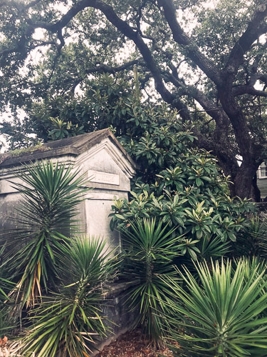 WhatsApp-Image-2019-09-03-at-02.04.133.jpg WhatsApp-Image-2019-09-03-at-02.04.133.jpg