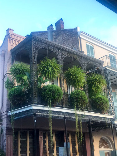 WhatsApp-Image-2019-09-03-at-02.04.18.jpg WhatsApp-Image-2019-09-03-at-02.04.18.jpg