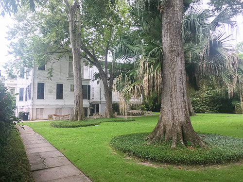 WhatsApp-Image-2019-09-03-at-02.04.191.jpg WhatsApp-Image-2019-09-03-at-02.04.191.jpg