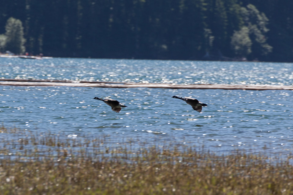 IMG_9763.jpg