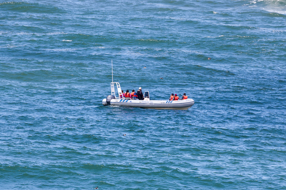 Oregon-Coast-IMG_9878.jpg