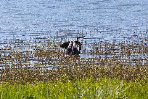 IMG_9746.jpg IMG_9746.jpg