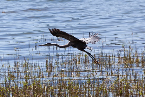 IMG_9747.jpg IMG_9747.jpg