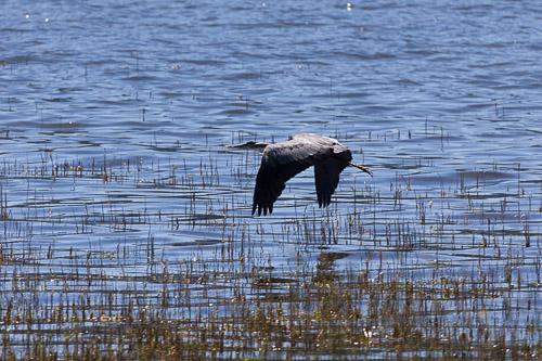 IMG_9748.jpg IMG_9748.jpg