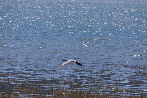 IMG_9750.jpg IMG_9750.jpg