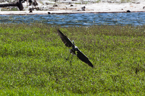 IMG_9753.jpg IMG_9753.jpg