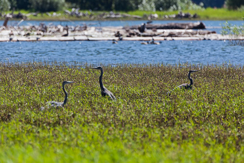 IMG_9757.jpg IMG_9757.jpg