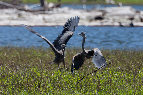 IMG_9760.jpg IMG_9760.jpg