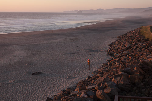 IMG_9776.jpg IMG_9776.jpg