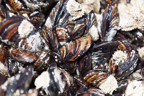 IMG_9802.jpg IMG_9802.jpg