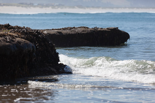 IMG_9803.jpg IMG_9803.jpg