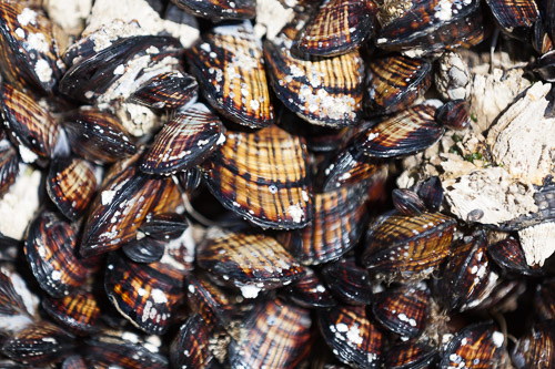 IMG_9804.jpg IMG_9804.jpg