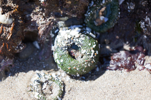 IMG_9805.jpg IMG_9805.jpg