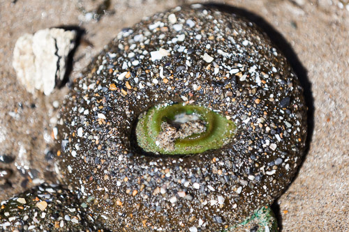 IMG_9808.jpg IMG_9808.jpg