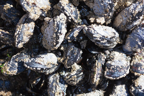 IMG_9810.jpg IMG_9810.jpg