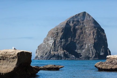 IMG_9812.jpg IMG_9812.jpg