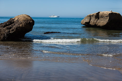 IMG_9813.jpg IMG_9813.jpg