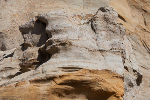 IMG_9818.jpg IMG_9818.jpg