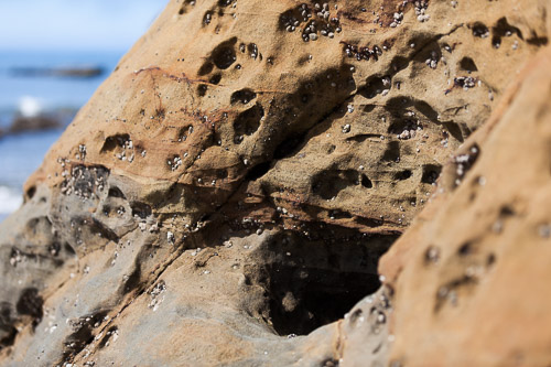 IMG_9819.jpg IMG_9819.jpg