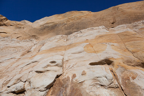 IMG_9823.jpg IMG_9823.jpg