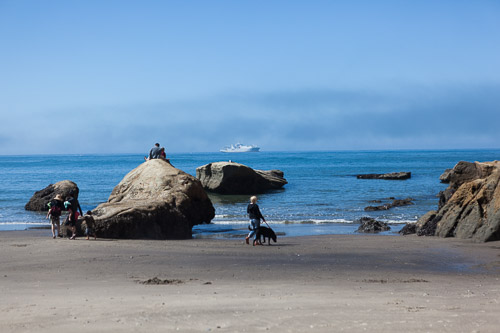 IMG_9824.jpg IMG_9824.jpg