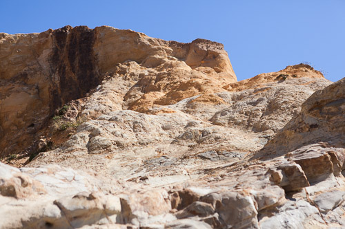 IMG_9825.jpg IMG_9825.jpg