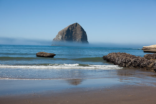 IMG_9826.jpg IMG_9826.jpg