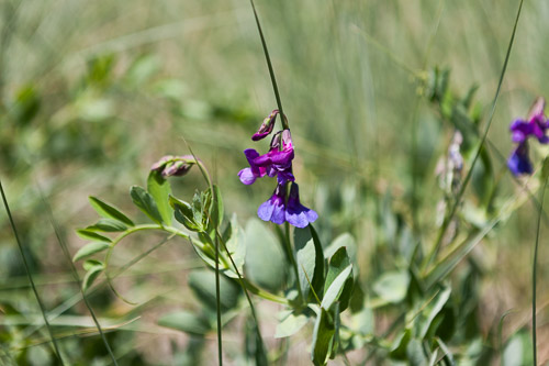 IMG_9835.jpg IMG_9835.jpg