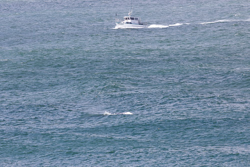 Oregon-Coast-IMG_9865.jpg Oregon-Coast-IMG_9865.jpg